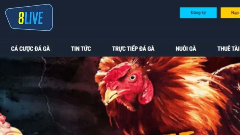 Anh em phải tham gia nền tảng và đăng ký tài khoản cược đá gà 
